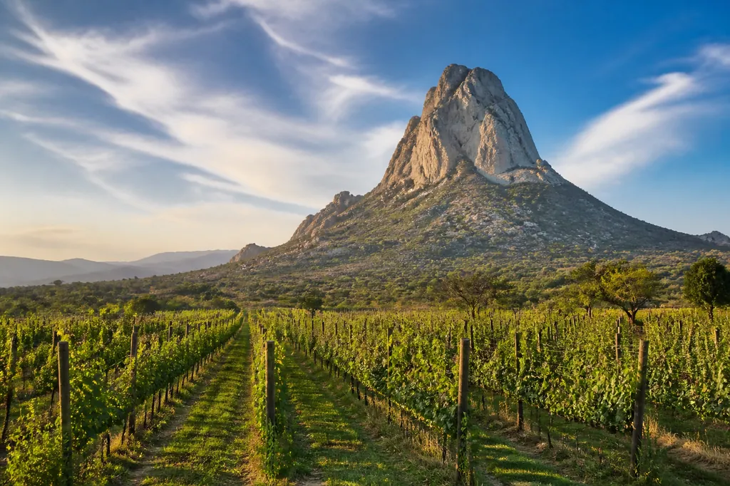 Querétaro y Ruta del Vino y el Queso